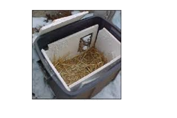 Aunt T's Pet Sitting and Pet Services | Michigan | 810-931-1062 Aunt T's Pet Sitting and Pet Services | Michigan | 810-931-1062 | pet sitting