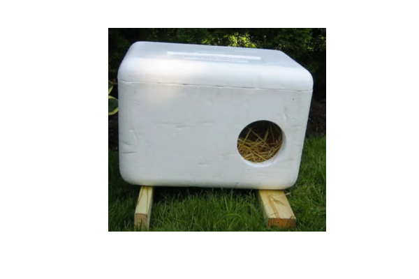 Aunt T's Pet Sitting and Pet Services | Michigan | 810-931-1062 Aunt T's Pet Sitting and Pet Services | Michigan | 810-931-1062 | pet sitting